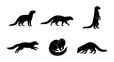 Obraz premium Set of 6 Black Silhouette Vector Icons: Ferret, Meerkat, Weasel Poses, Wildlife Animal Graphics