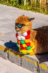 A view of a fluffy brown alpaca wearing sunglasses and a bright, multi colored pom pom scarf sitting on the pavement in Yanque, in the Colca Canyon in the Andes of Peru in the morning © Nicola
