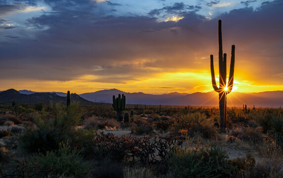 Wide Ratio Desert Morning Landscape Scene With Saguaro Cactus Sunstar In Phoenix Area
