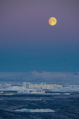 Moonrise over Disko Bay © kevin