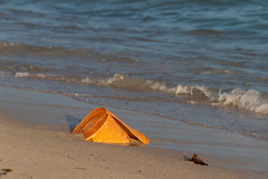 Orange Plastic Lid on Beach