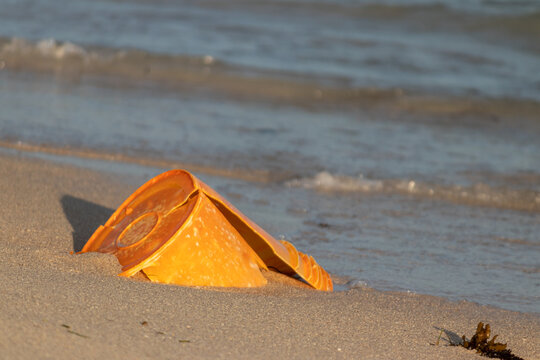 Orange Plastic Object on Beach