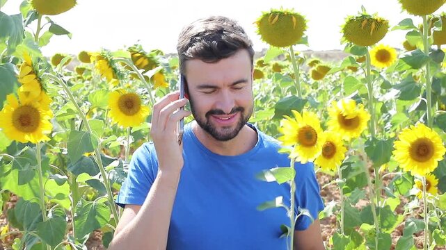 Video of a young gorgeous natural man making a phone call from a sunflowers field