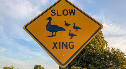 Yellow slow goose crossing warning road sign © Francesco