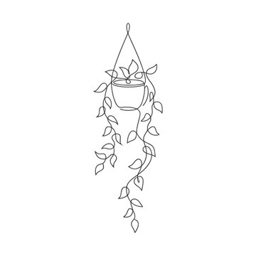 Hanging potted plant with cascading green leaves vector illustration isolated on white background