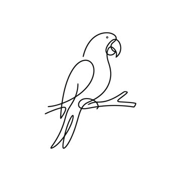 Parrot perched on branch minimalist black and white line art vector illustration