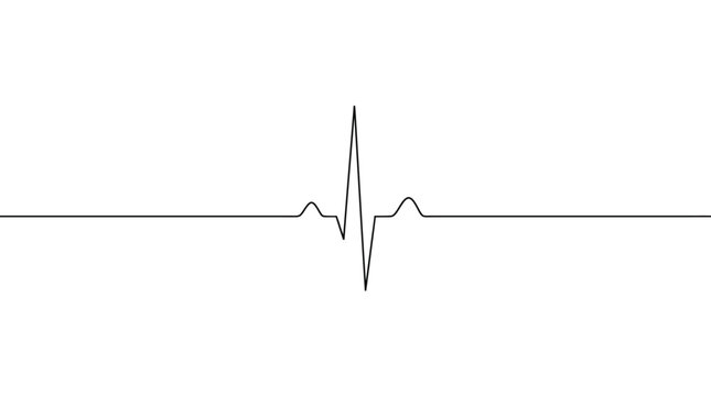 Black and white heartbeat monitor line graph pulse rate on white background vector illustration