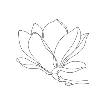 Magnolia flower line art illustration elegant minimalist vector design black and white