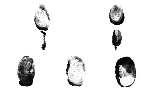Set of black fingerprint marks and thumbprint patterns isolated for biometric identification security and forensic investigation concepts