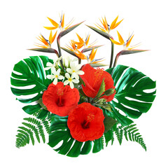 Hibiscus, strelitzia and plumeria flowers with green tropical leaves in floral composition on white background © New Africa