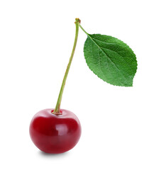 Fresh ripe cherry isolated on white. Tasty berry © New Africa