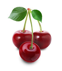 Fresh ripe cherries isolated on white. Tasty berry © New Africa