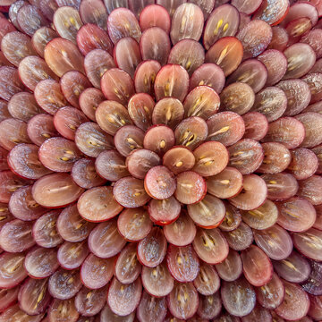 Sliced red grapes arranged in a geometric pattern.