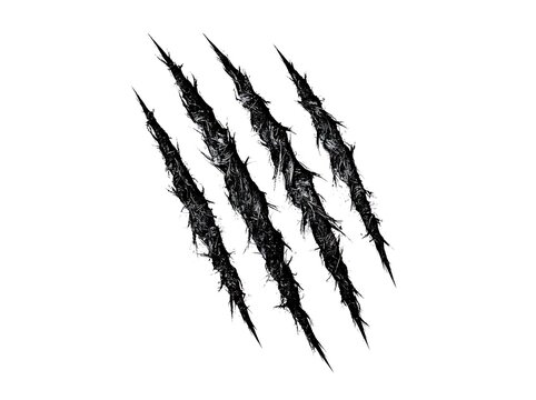 Black claw marks isolated on a white background representing a wild animal attack or aggressive scratch