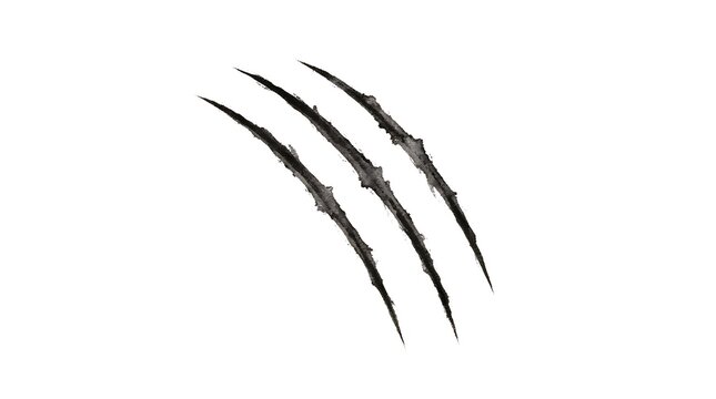 Black and white illustration of three sharp claw marks isolated on a plain white background