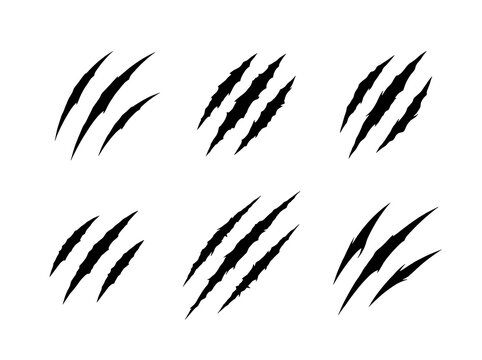 Set of black claw marks and scratch silhouettes isolated on a white background for design elements
