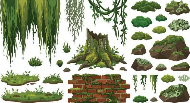 Green Moss Vector Set with Mossy Tree Stump, Brick Wall, Hanging Vines, Forest Rocks, Lichen, and Grass Clumps Illustration