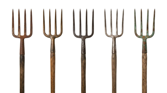 Collection of five vintage garden pitchforks with wooden handles and weathered metal tines