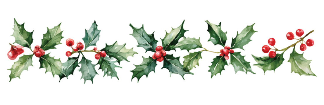 Christmas Illustrator Artwork, Beautiful holly berry line set painting design set. Hand-painted style, vectorized, vector set available in EPS. Simple Hand-painted watercolor style. 