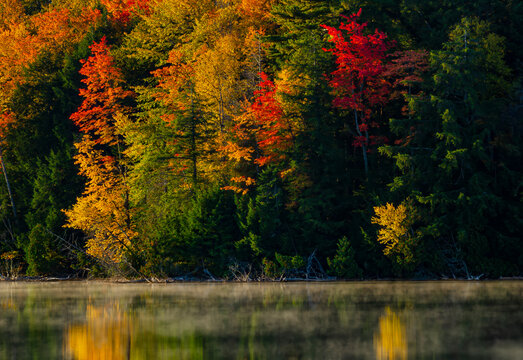 578-25 Autumn Color, Pete's Lake