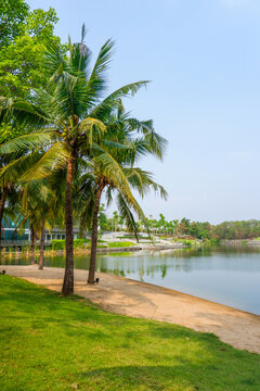 Beautiful Lake and mountain view and forest nature,coconut tree ,sand near the water on the beach,summer vibes,holiday,rest concept.