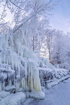 Beautiful snowy, frozen and icy trees by a frozen and snowy shoreline in Tampere, Finland in the winter at day. Beautiful natural and tranquil winter landscape.