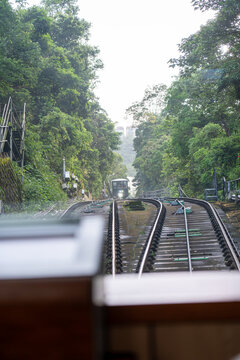 An oncoming funicular tram car descending a steep mountain railway track, captured just beyond a track switch surrounded by dense green forest foliage.