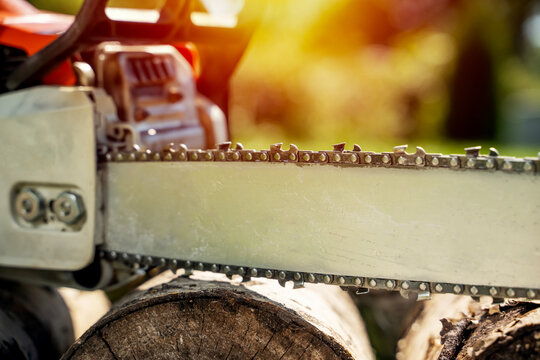 Sunlight glints off a chainsaw blade