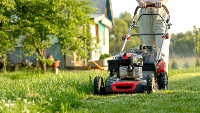 Man mows the lawn with a red and black mower