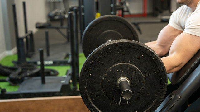 A muscular man trains in the gym, doing barbell curls for biceps. Bodybuilding concept.