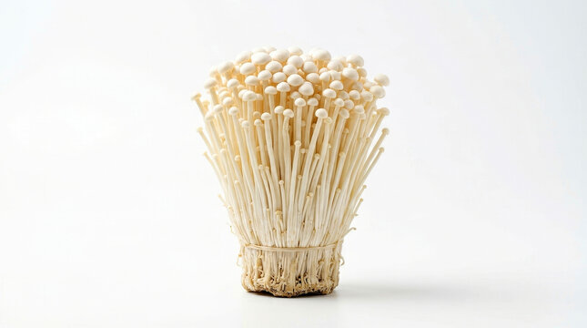 Fresh enoki mushrooms bundle standing on a clean white background
