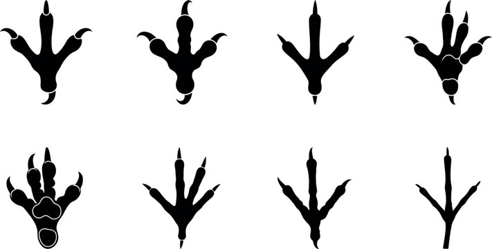 Collection of eight distinct black silhouette bird and dinosaur footprint icons arranged in two rows, showcasing various claw shapes and toe structures