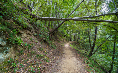 Obraz premium Curve road to the mountains. Scenic dirt road with mountain range.