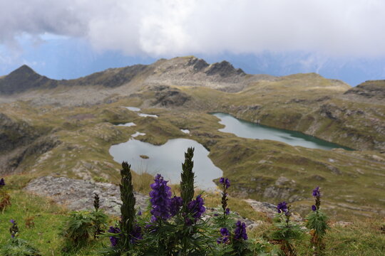 Beautiful Neualplseen alpine lakes in Schladming Tauern in Austria with purple monkshood flowers in the foreground