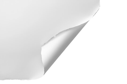 Large white ripped paper corner with folded edge