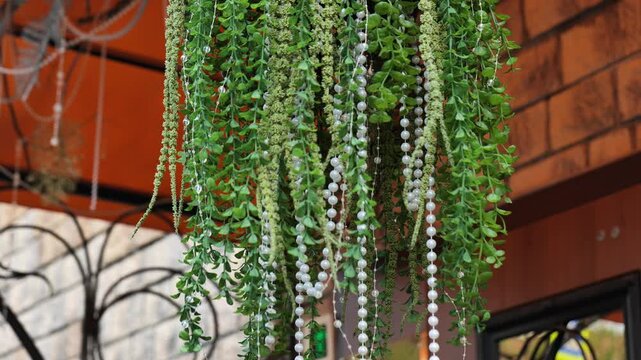Artificial plants and pearl strings hanging as outdoor decoration on a sunny day