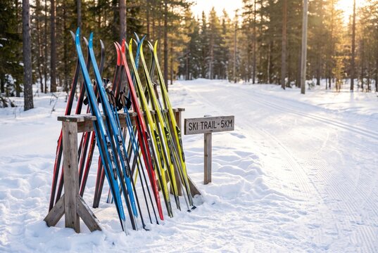 Colorful cross-country ski and pole standing in wooden rack beside groomed snowy trail in winter forest at sunset. Active outdoor sport and nordic recreation concept for healthy lifestyle