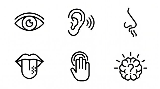 Human senses &mdash; sight, hearing, smell, taste, touch, and cognition represented as simple line icons, symbolizing perception and sensory experience in a clear visual set.