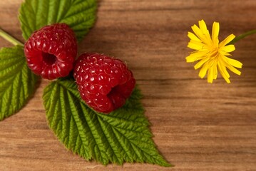 A still life of raspberries, green leaves from raspberry bushes, and a wildflower against a solid acacia table. Close-up from above. Healthy, natural food © ST Photo Stock 