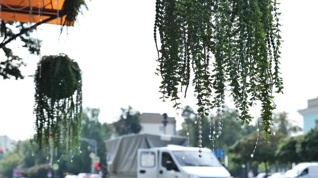 Artificial hanging plants decorating urban street with blurred traffic in background