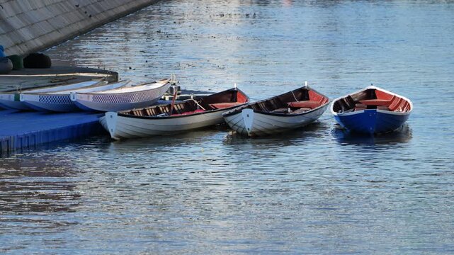 Rowboats and skiffs moored by a floating dock on calm river water