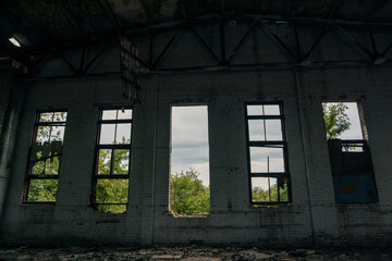 Fototapeta premium Interior of abandoned airplane hangar with broken windows framing lush greenery outside, contrasting decay with nature