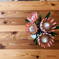 Obraz premium Interior design and home decor, protea flowers in a vase on a rustic wooden table for lifestyle branding and wellness aesthetic with copy space