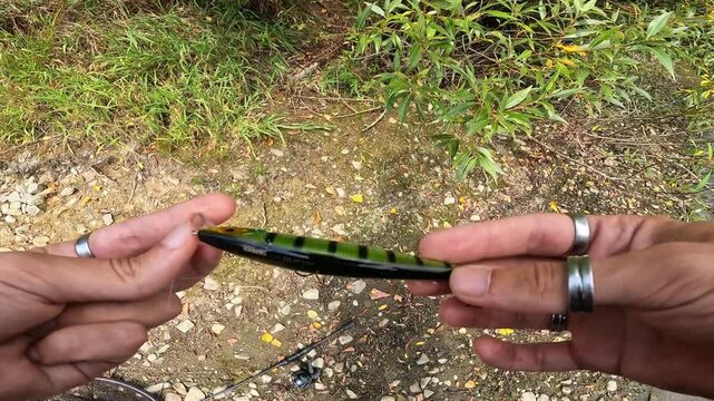Fisherman hands examining green wobbler fishing lure on the riverbank. Preparing tackle and hard bait for catching asp (Leuciscus aspius).