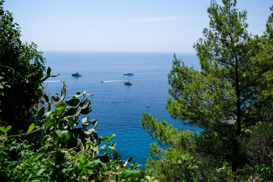 Scenic Sea View with Luxury Yachts Framed by Mediterranean Greenery. A high-angle vista overlooking the deep blue waters of the Mediterranean Sea, naturally framed by vibrant green pine trees and pric