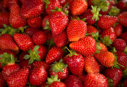 Strawberry berries background, macro organic fruit background 