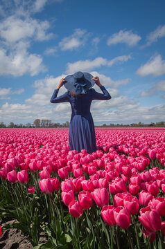 rear view of woman in blue dress with sunhat standing in pink tulip field with sky and clouds