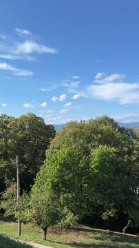 Panoramic view of Celje city center in Slovenia, scenic green valley and rooftops from a hill viewpoint