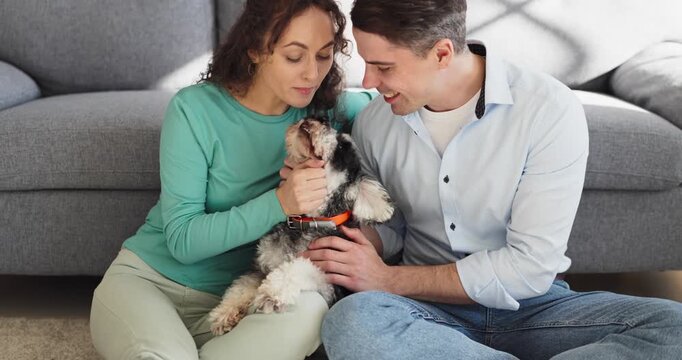 Couple dog schnauzer home sofa pet play. Happy man and woman sit on the floor, playing with their small terrier. Friendly family love suits adoption and pet care. Idea of joy and comfort.