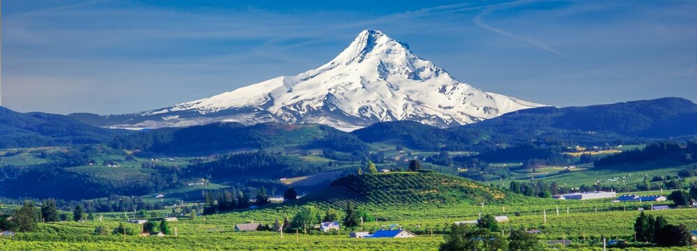 Hood River with Valley fruit orchs ard Mt Hood